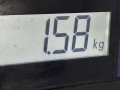 петля двери Citroen C3 Picasso 1 поколение 2009, 1.6 л., МКПП, минивэн, 9035FQ - фото №4