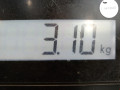 пружина задняя Skoda Rapid 1 поколение NH 2014, 1.6 л., МКПП, хетчбэк 5 дв., 1J0511115AM - фото №5