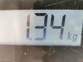 стеклоподъемник электрический задний правый Mazda 626 GF 1998, 1.8 л., МКПП, хетчбэк 5 дв., GE4T72590 - фото №5