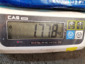 подушка безопасности боковая (шторка) Nissan Altima L32 2009, 3.5 л., АКПП, купе, 985P0JB18A - фото №3
