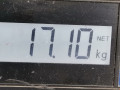 стойка амортизатора Mercedes-Benz M-Класс W163 2000, 3.2 л., АКПП, внедорожник 5 дв. - фото №5