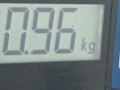 подушка безопасности водителя Opel Astra J 2011, 1.4 л., МКПП, хетчбэк 5 дв., 13299779 - фото №5