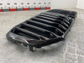 решетка радиатора BMW X7 G07 2018, 3.0 л., B57 D30 C, дизель, arktikgrau brill. metallic (c27), 51138094566, 51138094567, 51138745730 - фото №4