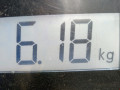 ТНВД Opel Corsa C 2001, 1.7 л., МКПП, хетчбэк 5 дв., 98103029 - фото №8