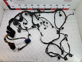 проводка Land Rover Range Rover Sport 1 поколение 2005, 4.2 л., АКПП, внедорожник 5 дв.