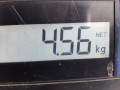 подушка безопасности водителя Opel Meriva 2 поколение (B) 2010, 1.4 л., МКПП, минивэн, 30735639 - фото №5