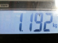 защита арок задняя левая (подкрылок) Nissan Primera P12 2005, 1.8 л., МКПП, универсал, 74818AV700 - фото №4