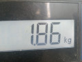 коллектор впускной Chevrolet Matiz 2 поколение [рестайлинг] 2009, 0.8 л., МКПП, хетчбэк 5 дв., 96612050 - фото №6