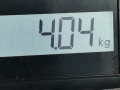пружина задняя Renault Clio 3 поколение 2006, 1.2 л., МКПП, хетчбэк 3 дв., 550204217R - фото №4