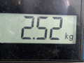 кулак задний левый Mercedes-Benz B-Класс W246 2012, 1.8 л., АКПП, хетчбэк 5 дв., A2463503541 - фото №6
