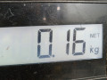 шлейф руля Kia Ceed 2 поколение 2012, 1.6 л., МКПП, универсал - фото №5