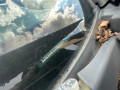 ручка крышки багажника Nissan Micra 3 поколение (K12) 2005, 1.2 л., МКПП, хетчбэк 3 дв., 906067S008 - фото №13