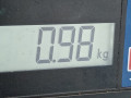 решетка радиатора Volkswagen Golf Plus 1 поколение 2005, 1.9 л., МКПП, хетчбэк 5 дв., 5M0853651A - фото №6