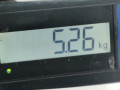 узел педальный (блок педалей) Nissan X-Trail T30 2004, 2.2 л., МКПП, внедорожник 5 дв. - фото №5