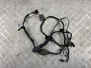 дверная проводка BMW X5 G05 [рестайлинг] G05 2023, 3.0 л., B58B30, бензин, АКПП, carbonschwarz metallic (416), внедорожник 5 дв., 61125A8FFC0