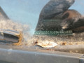 фонарь крышки багажника правый Volkswagen Touareg 1 поколение 2006, 2.5 л., АКПП, внедорожник 5 дв., 7L6945094R - фото №12