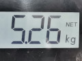 ступица задняя правая Renault Koleos 1 поколение 2008, 2.0 л., МКПП, внедорожник 5 дв., 402022933R - фото №5