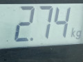 суппорт задний правый Honda Civic 9 поколение 2013, 1.4 л., МКПП, хетчбэк 5 дв., 43002TV0E03 - фото №6