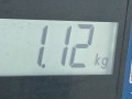 петля капота правая Land Rover Range Rover Sport 1 поколение 2008, 3.6 л., АКПП, внедорожник 5 дв., BKB780021 - фото №5