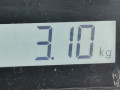 пружина задняя Renault Megane 2 поколение 2003, 1.6 л., МКПП, хетчбэк 3 дв., 8200276539 - фото №4