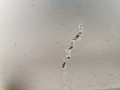 дверь передняя левая SEAT Ibiza 3 поколение 2002, 1.2 л., МКПП, хетчбэк 3 дв., 6L3831055R - фото №3
