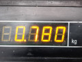 проводка Opel Corsa C [рестайлинг] 2006, 1.0 л., МКПП, хетчбэк 3 дв., 55353057 - фото №5