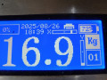 дверь задняя правая BMW 5 серия E60/E61 [рестайлинг] 2009, 2.0 л., МКПП, универсал, 41527158502 - фото №8