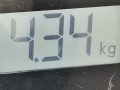 полуось передняя левая (приводной вал, ШРУС) Renault Scenic 1 поколение [рестайлинг] 2002, 1.6 л., МКПП, минивэн, 7700112116 - фото №5