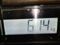 ТНВД Citroen Berlingo 1 поколение (M59) [рестайлинг] 2007, 1.6 л., МКПП, минивэн, 9683703780 - фото №6