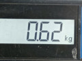 блок управления двигателем Toyota Prius 2 поколение 2007, 1.5 л., вариатор, хетчбэк 5 дв., 8966147170 - фото №5