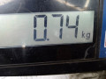защита арок передняя правая (подкрылок) Volkswagen Passat B5 1999, 1.6 л., МКПП, седан, 3B0809962C - фото №5