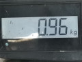 щиток приборов (приборная панель) Audi A6 4F/C6 [рестайлинг] 2008, 2.0 л., вариатор, универсал, 4F0920983P - фото №5