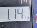 подушка крепления КПП Audi A3 8L 1997, 1.6 л., МКПП, хетчбэк 3 дв., 1J0411305A - фото №6