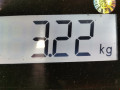 крышка двигателя передняя Opel Zafira 2 поколение (B) [рестайлинг] 2008, 1.6 л., МКПП, минивэн - фото №4