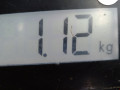 насос масляный Renault Clio 2 поколение [2-й рестайлинг] 2007, 1.2 л., МКПП, хетчбэк 3 дв. - фото №6