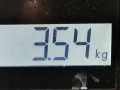 коллектор впускной Mercedes-Benz C-Класс W203/S203/CL203 2000, 2.2 л., АКПП, седан, A6110903637 - фото №8
