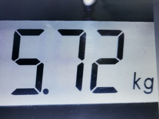 ТНВД Peugeot 508 1 поколение 2011, 2.0 л., МКПП, универсал, 1920LP