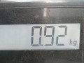 решетка радиатора Skoda Octavia 2 поколение (A5) 2007, 2.0 л., МКПП, хетчбэк 5 дв., 1Z0853668A - фото №4