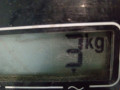 крыло переднее правое Nissan Qashqai 1 поколение 2009, 1.5 л., МКПП, внедорожник 5 дв., F3100JD0M0 - фото №7