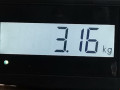 пружина передняя SEAT Ibiza 3 поколение 2003, 1.4 л., МКПП, хетчбэк 3 дв., 6Q0411105AD - фото №4
