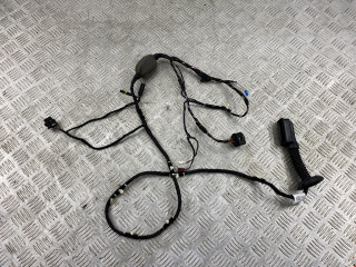 дверная проводка BMW X3 G01 [рестайлинг] G01 2023, 2.0 л., B48 B20 B, бензин, АКПП, 416, внедорожник 5 дв., 61125A49005