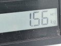 ремень безопасности Citroen C2 1 поколение [рестайлинг] 2009, 1.4 л., МКПП, хетчбэк 3 дв., 8974A0 - фото №6