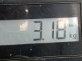 руль Volkswagen Beetle 2 поколение 1999, 2.0 л., МКПП, хетчбэк 3 дв., 1C0419091BD - фото №4