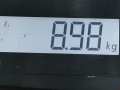 стойка амортизатора Renault Koleos 1 поколение 2008, 2.0 л., МКПП, внедорожник 5 дв., 54302JY01B - фото №6