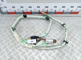 подушка безопасности боковая (шторка) Volkswagen Passat B6 2009, 2.0 л., МКПП, седан, 3C0880742E