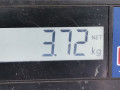пружина задняя Opel Astra H/Family [рестайлинг] 2009, 1.4 л., МКПП, хетчбэк 5 дв., 93178630 - фото №4