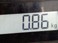 щиток приборов (приборная панель) Skoda Octavia 2 поколение (A5) 2007, 2.0 л., МКПП, хетчбэк 5 дв., 1Z0920942E - фото №5