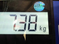 усилитель бампера переднего BMW X3 E83 2005, 2.0 л., МКПП, внедорожник 5 дв., 51113439780 - фото №4