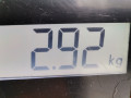 стабилизатор подвески задний Mercedes-Benz S-Класс W140/C140 1993, 3.5 л., АКПП, седан, A1403261665 - фото №7