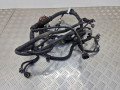 проводка двигателя Toyota Prius 2 поколение 2008, 1.5 л., i, бензин, робот, передний привод - фото №2